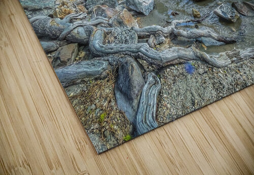 Down river Shoup Mindy Newby puzzle