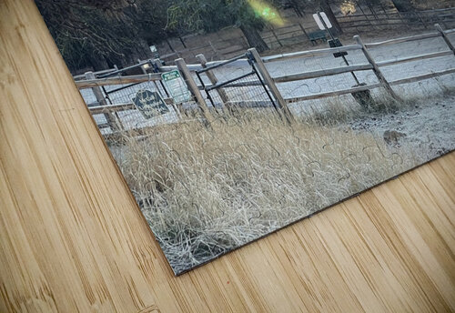 Idahome morning Mindy Newby puzzle
