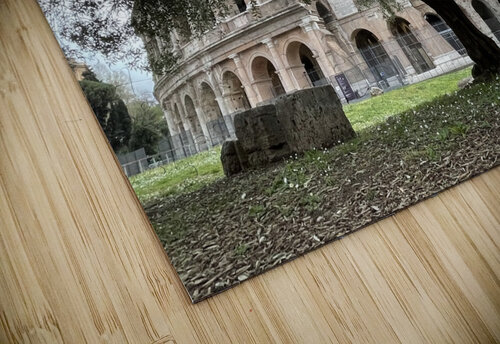Colosseum Tree Mindy Newby puzzle