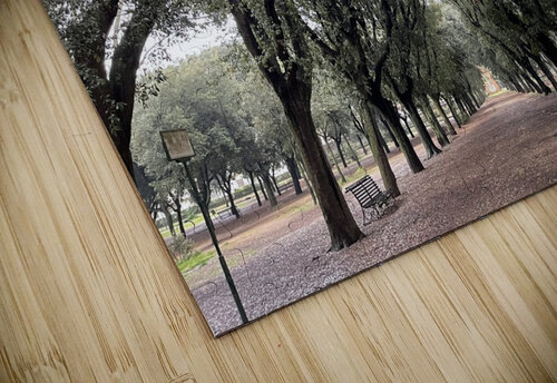 Tree Rows Rome Mindy Newby puzzle