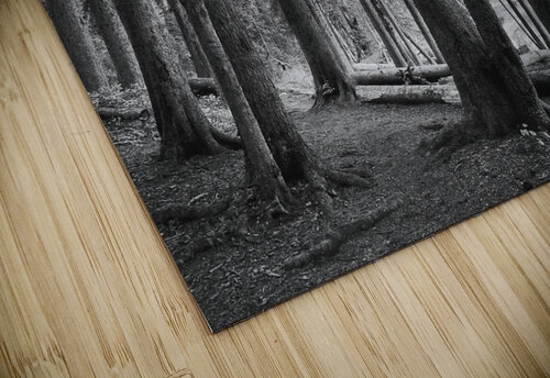 The Woods Mindy Newby puzzle