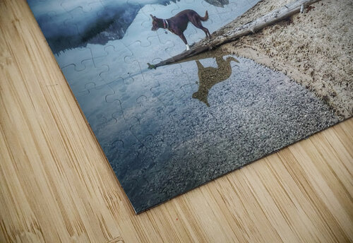 Lone Ranger Mindy Newby puzzle