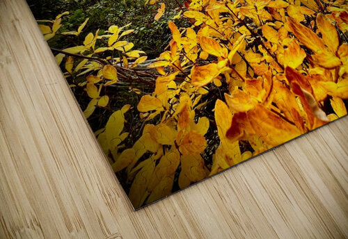 Castle Rock Mindy Newby puzzle