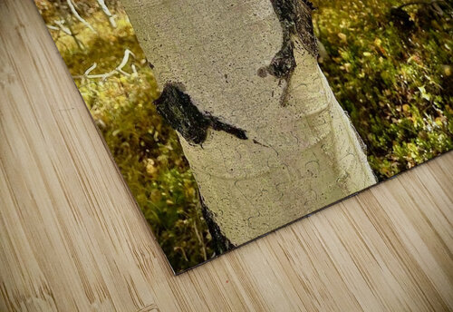 Aspen Hello Mindy Newby puzzle