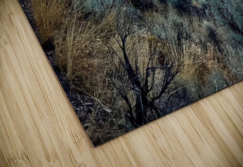 Elk Bend Sunset Mindy Newby puzzle