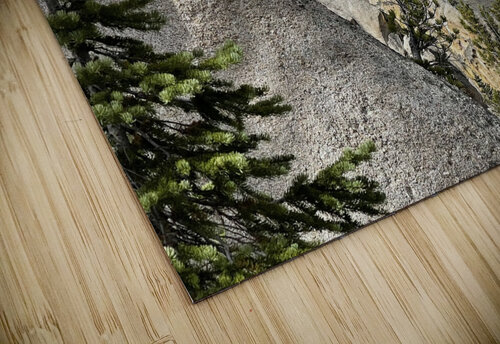 Craggs Mindy Newby puzzle