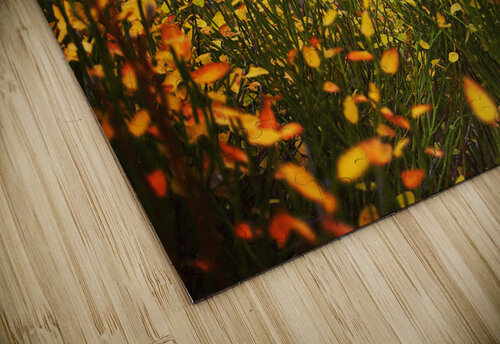 Almost Fireflies Mindy Newby puzzle