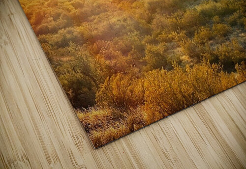 Hot Wash Mindy Newby puzzle