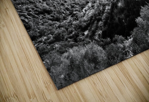 Superstitions Mindy Newby puzzle