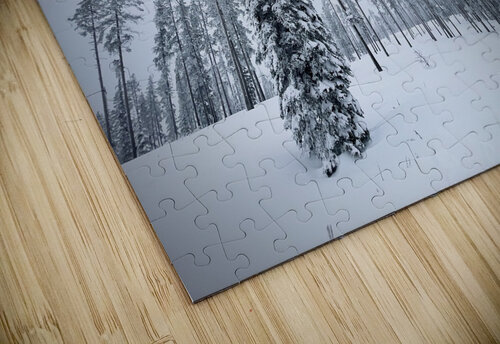 Sway Factor Mindy Newby puzzle
