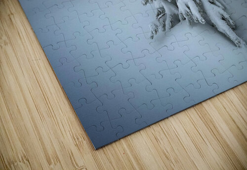 Spotlight Mindy Newby puzzle