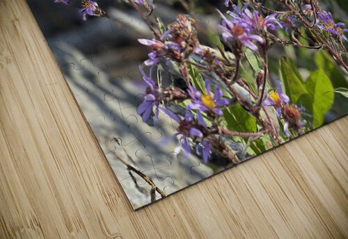 support system Mindy Newby puzzle