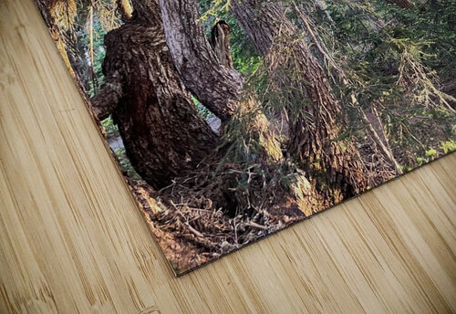 Fire Woods Mindy Newby puzzle