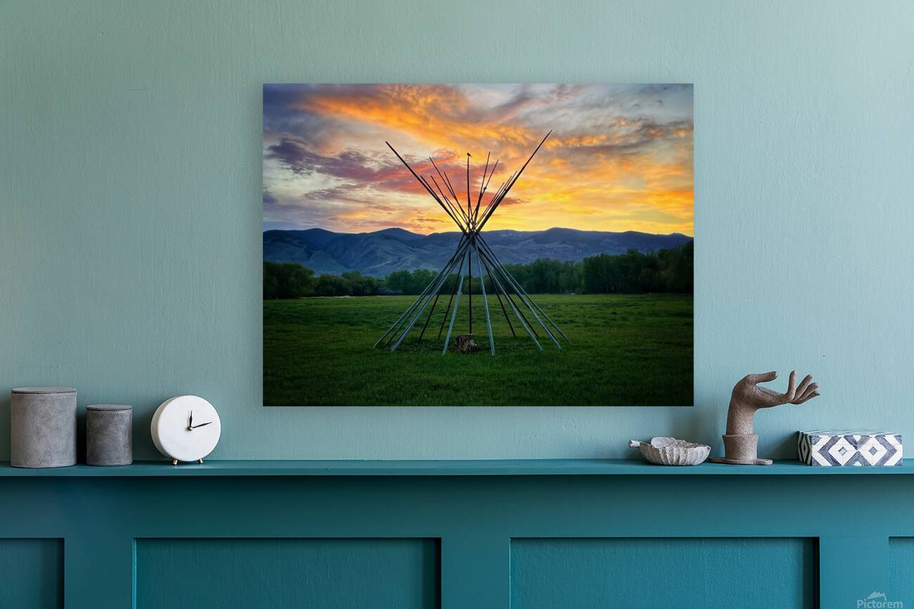 Teepee Bird Reproduction
