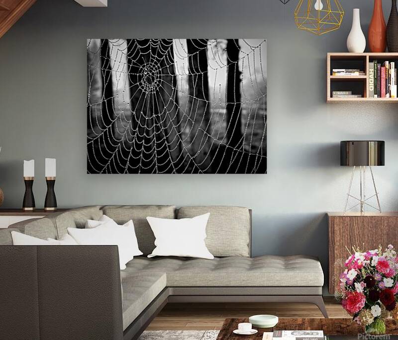 Spide Web Reproduction
