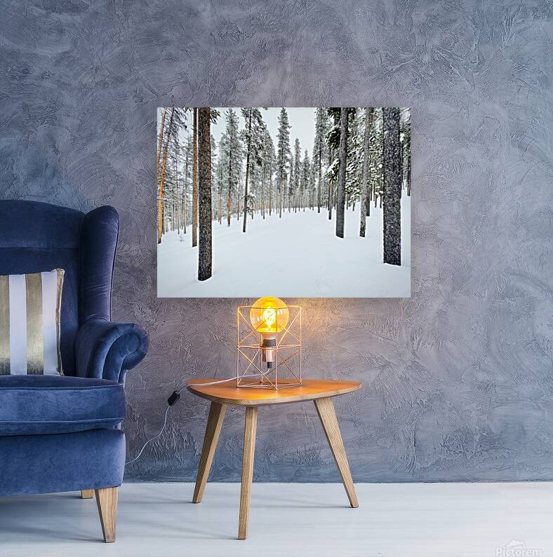Winter Trail Reproduction