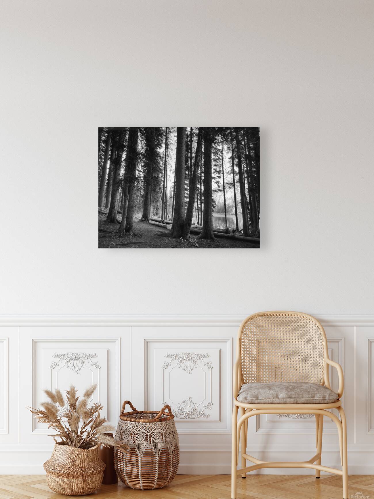 The Woods Reproduction