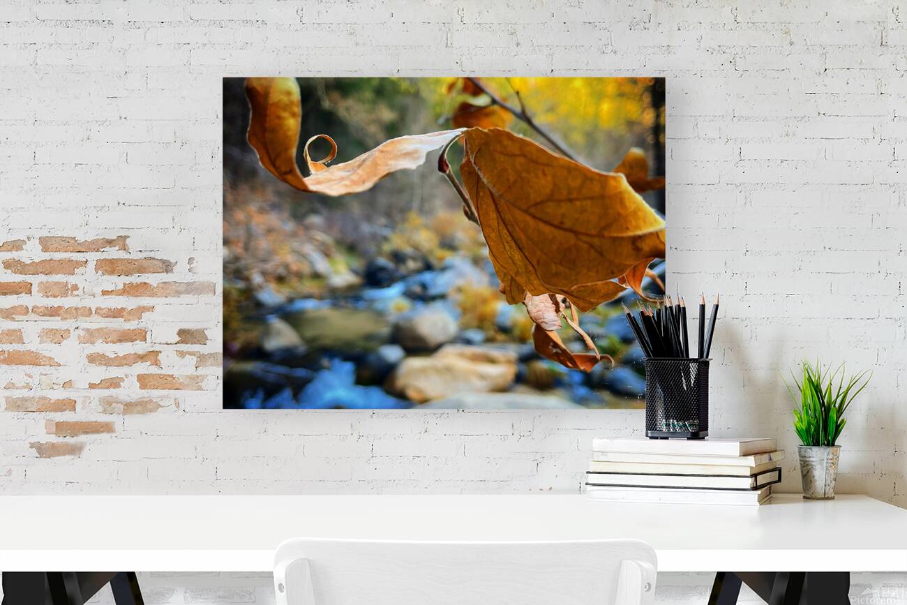 Serene Walk Reproduction