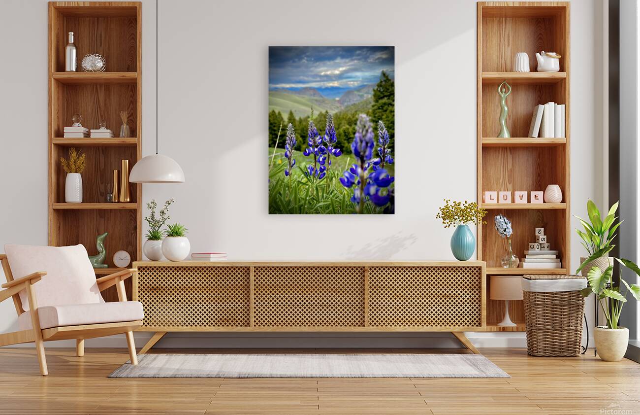 Lupine Views Reproduction