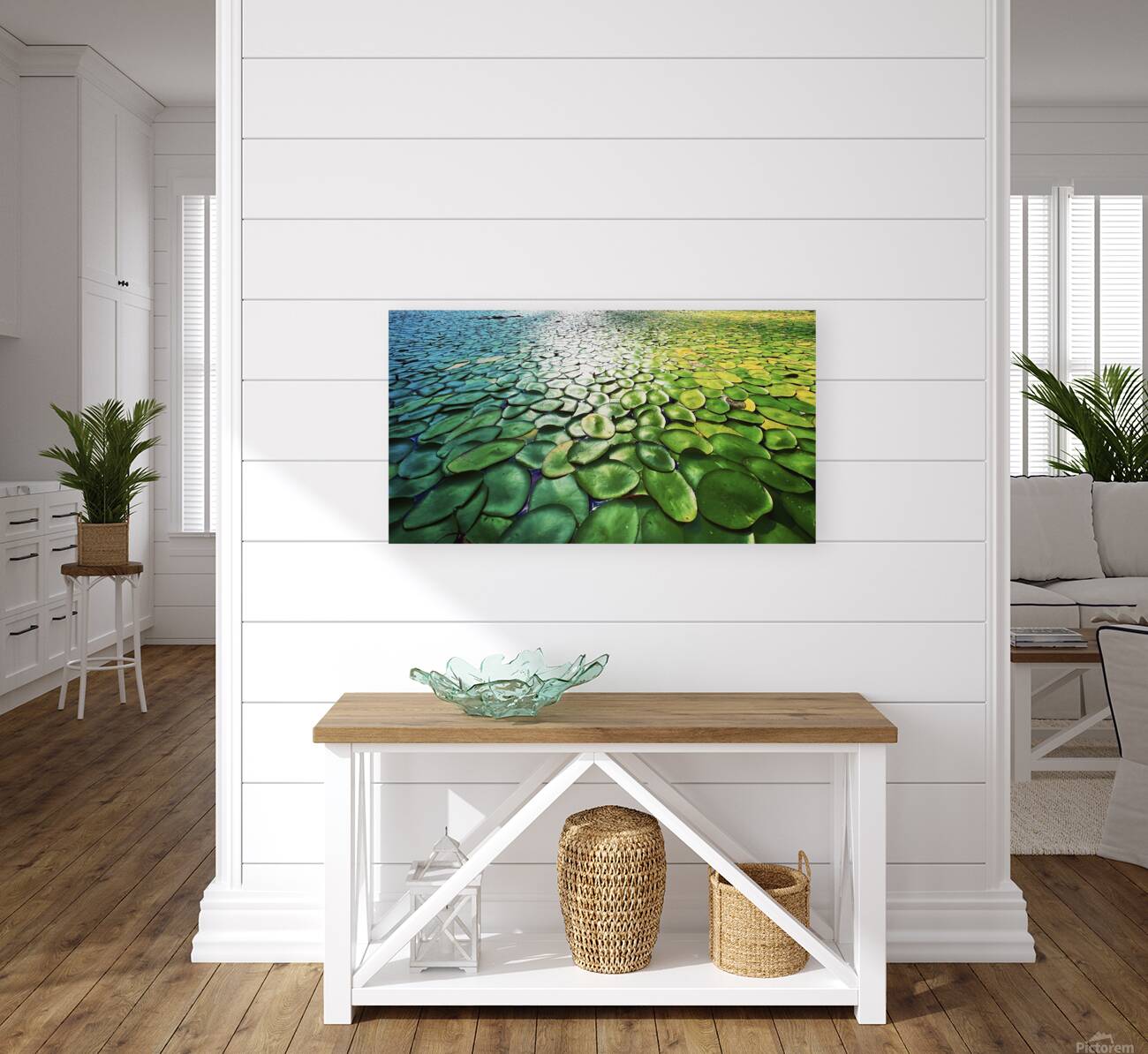 Lilly Pads Reproduction
