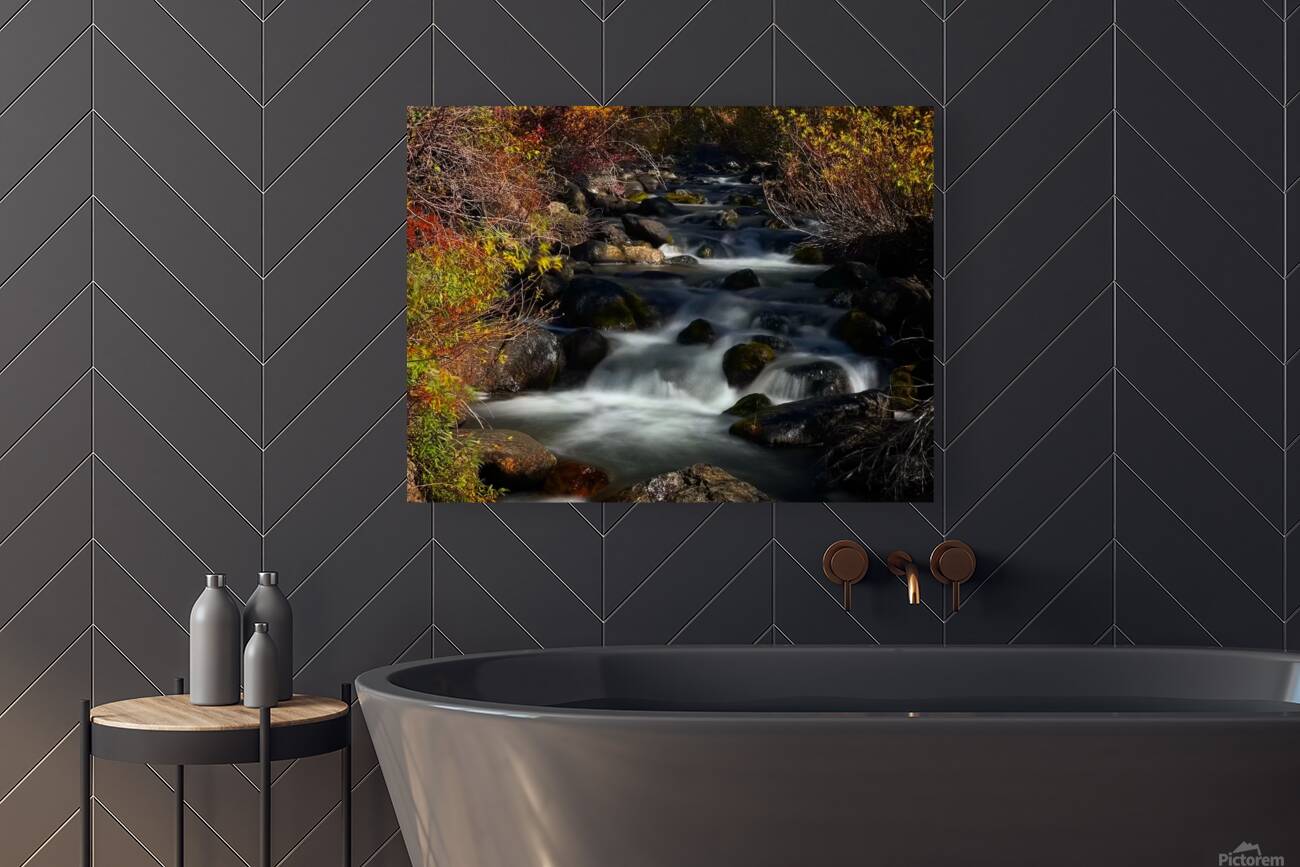 Mountain Creek Reproduction