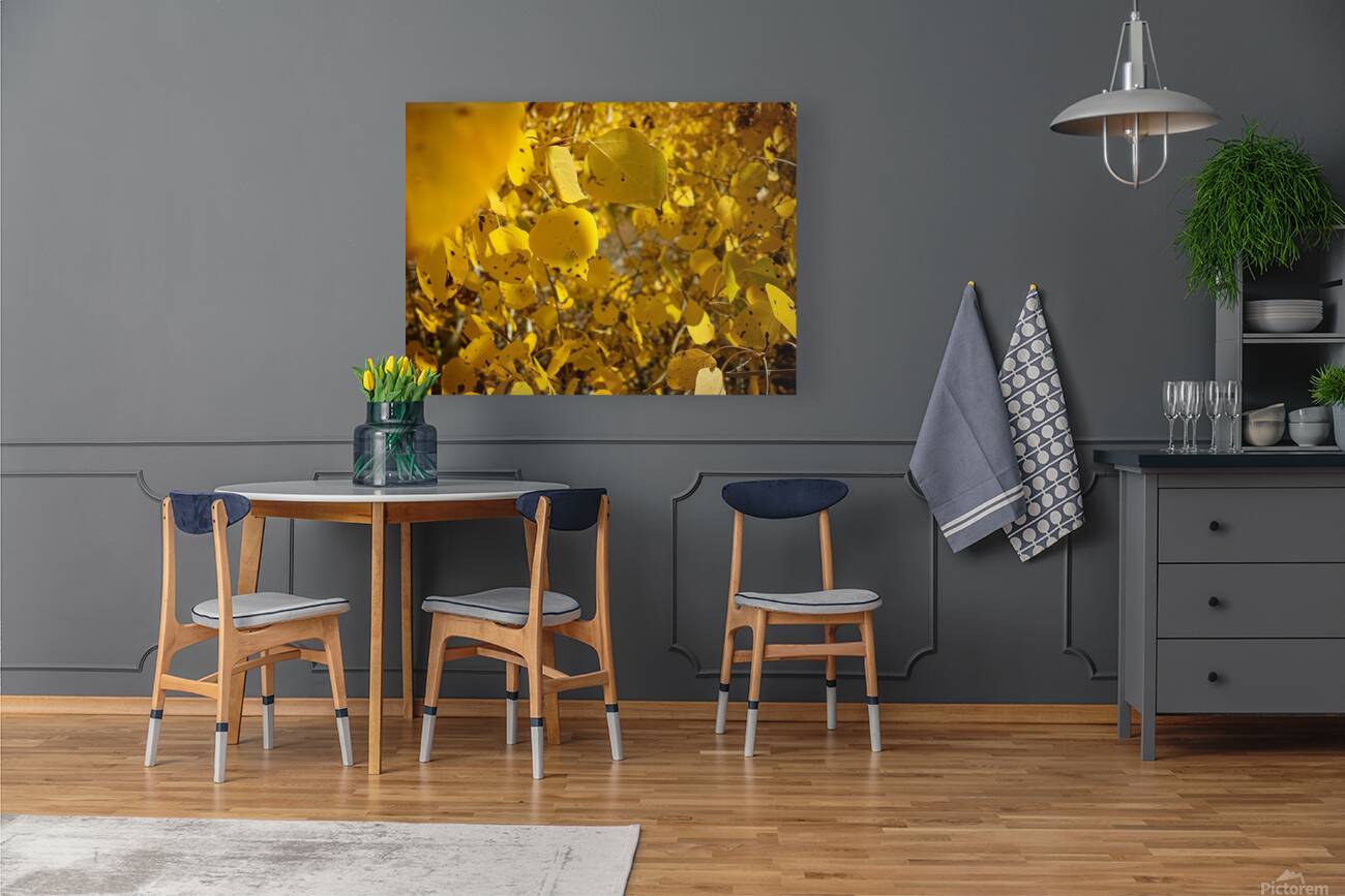 Golden Glows Reproduction