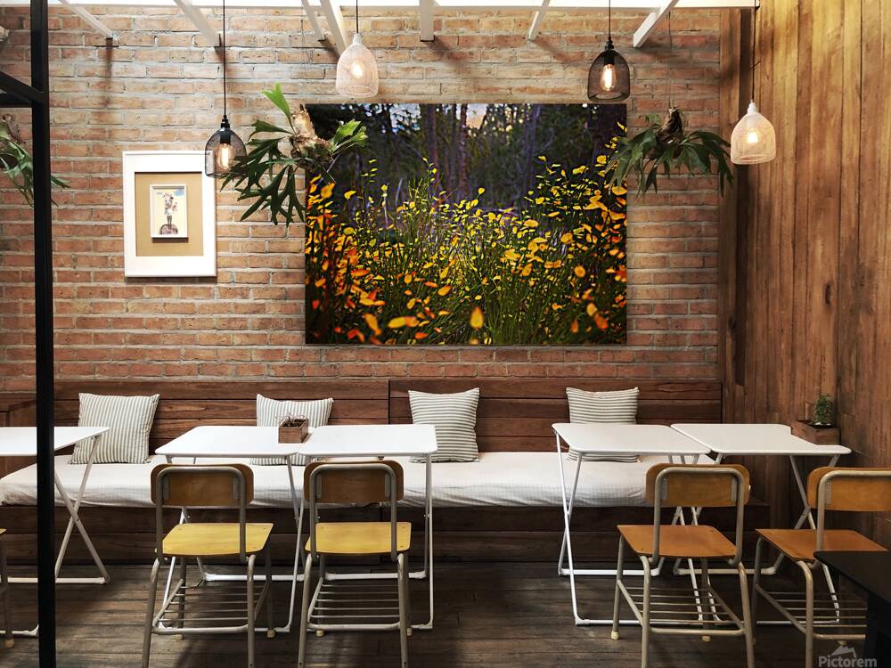 Almost Fireflies Reproduction