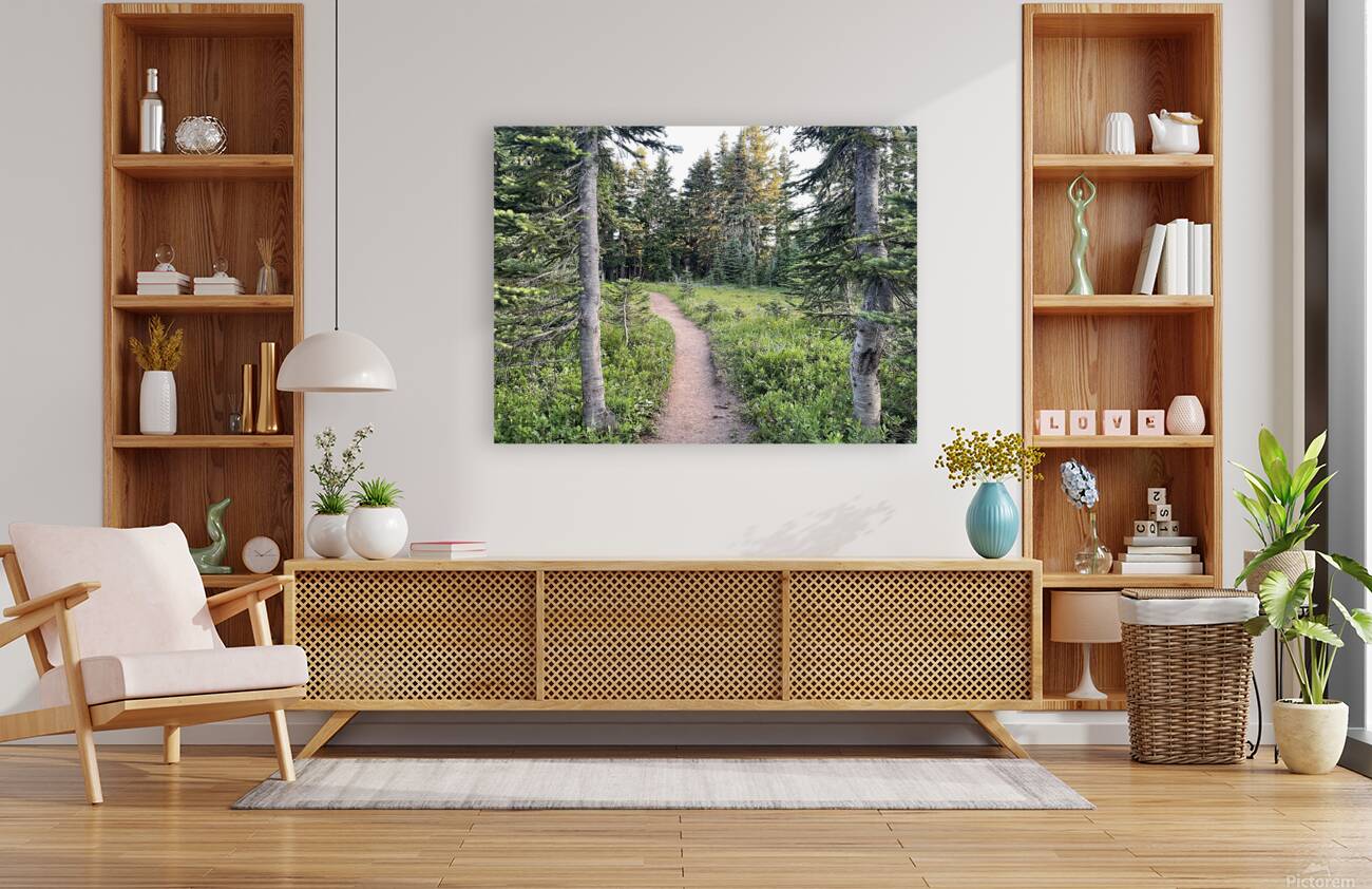 Paths Reproduction