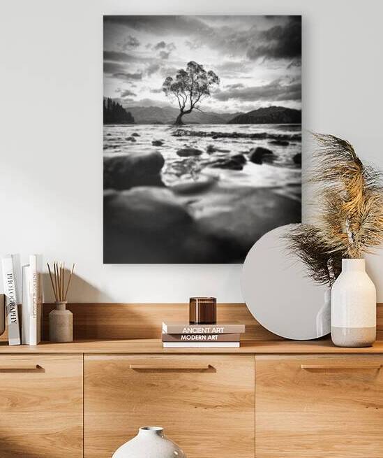 Wanaka Tree BW by Mindy Newby