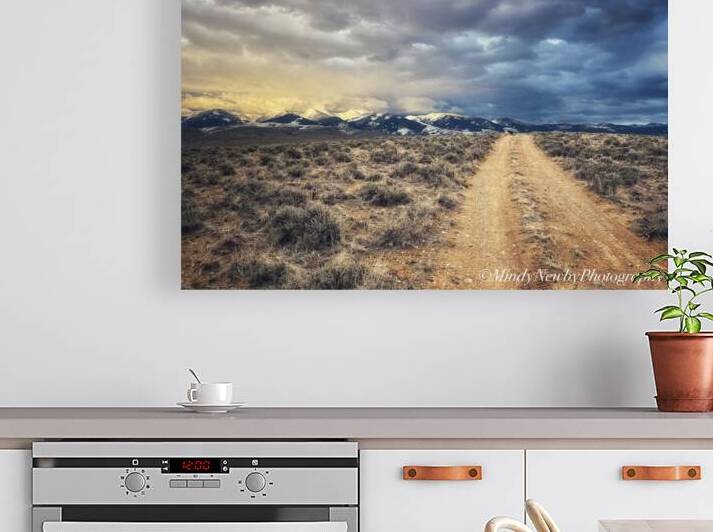 Life Road 2 Reproduction