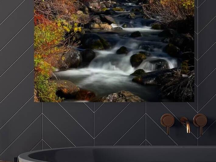 Mountain Creek Reproduction