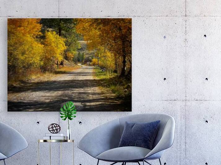 Backroads by Mindy Newby