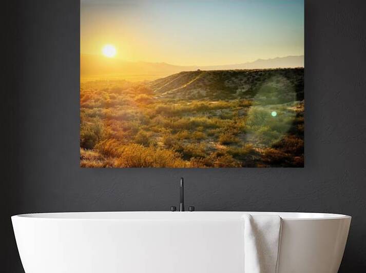 Hot Wash Reproduction