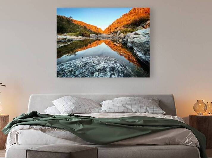 butterfly Reproduction