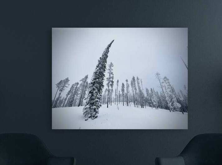Sway Factor by Mindy Newby