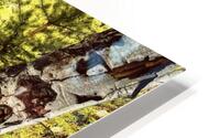 Out There HD Metal print