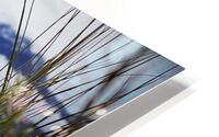Beauty in Ashes HD Metal print