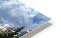 A Thrill HD Metal print