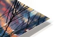 Thorny Things HD Metal print