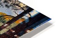 Here for the Views HD Metal print