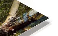 Magic HD Metal print