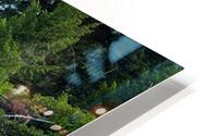 Have a Day HD Metal print