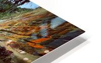 Auckland beach HD Metal print