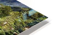 River Raw HD Metal print