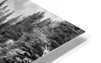 Lava BW HD Metal print