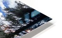 IMG 8546 HD Metal print