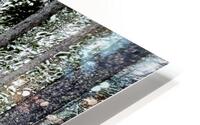 Winter Trail HD Metal print