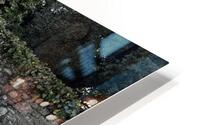 IMG 4801 HD Metal print