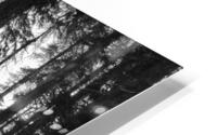 The Woods HD Metal print