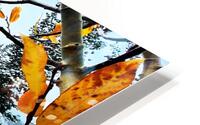 Season Crossing HD Metal print